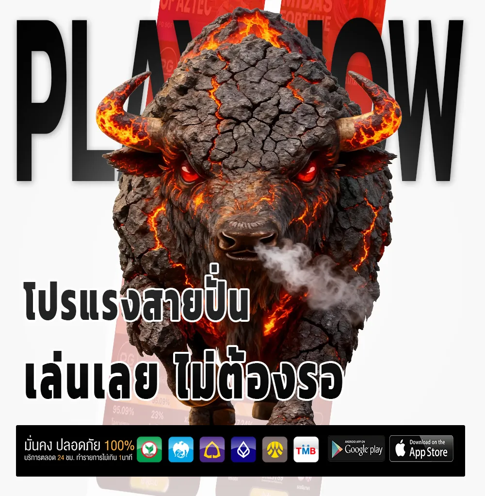 เว็บ Thai24hr